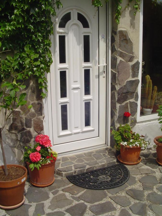 Villa Ametyst Štúrovo Esterno foto